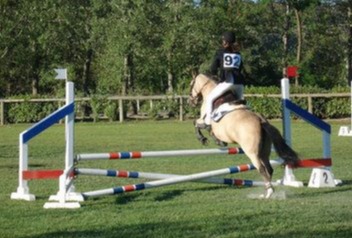 Acuderie Baroni ASD - Associazione Sportiva Dilettantistica Centro Ippico, Maneggio e Scuola di equitazione.