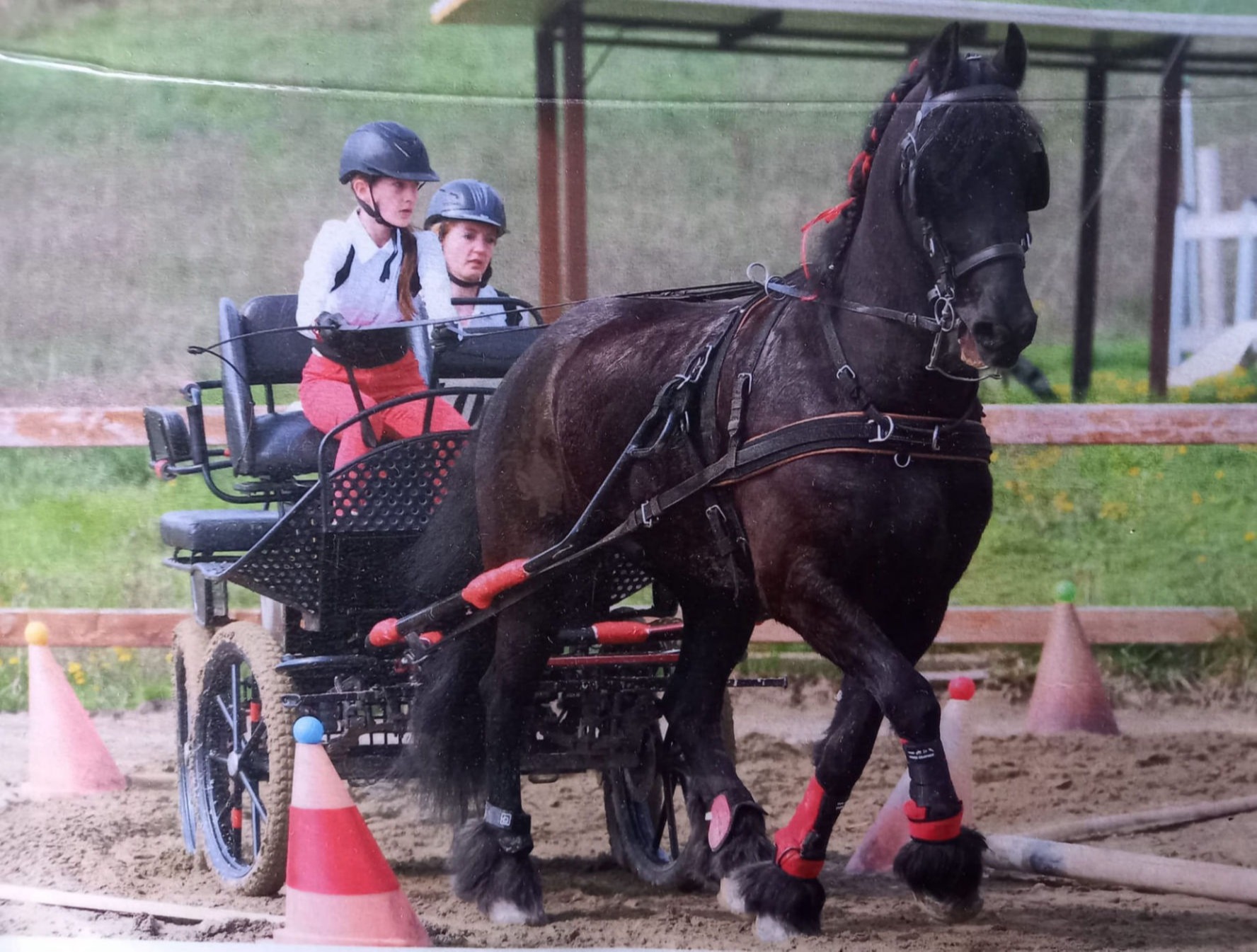 Scuderie Baroni ASD ~ Derby di attacchi ~ Chiara Baroni