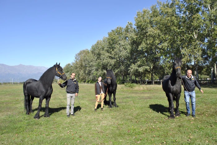 Acuderie Baroni ASD - Associazione Sportiva Dilettantistica Centro Ippico, Maneggio e Scuola di equitazione.