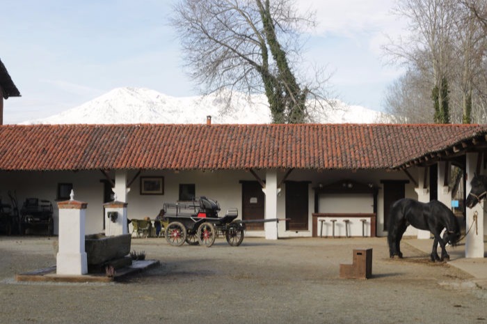 Acuderie Baroni ASD - Associazione Sportiva Dilettantistica Centro Ippico, Maneggio e Scuola di equitazione.